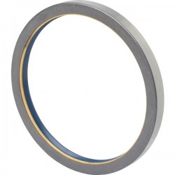 Seal 165x190x15.5/17mm