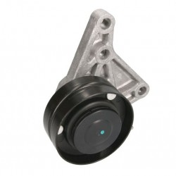 Belt tensioner John Deere AL156090