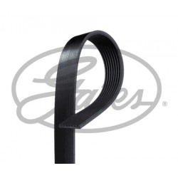 Ventilatora siksna 8xL1553