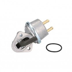 Fuel pump 6005016018, RE55390